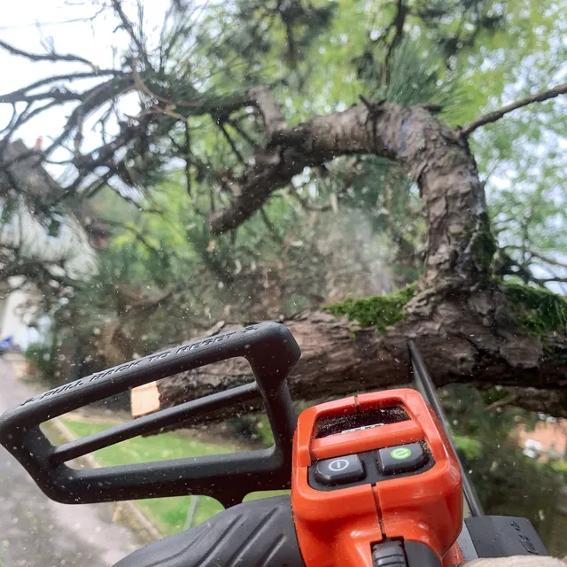 Vedere neobstrucționată
