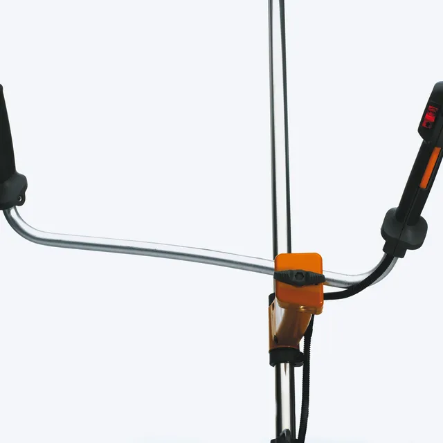 Mâner curbat
